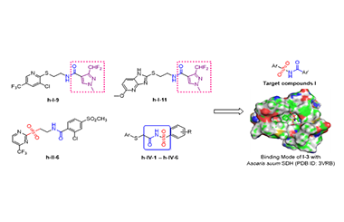 Design, Synthesis and Biological Activity of N-Sulfonyl Aromatic Amide Derivatives 2011-2991